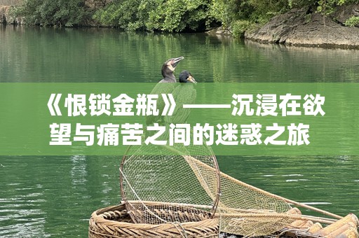 《恨锁金瓶》——沉浸在欲望与痛苦之间的迷惑之旅