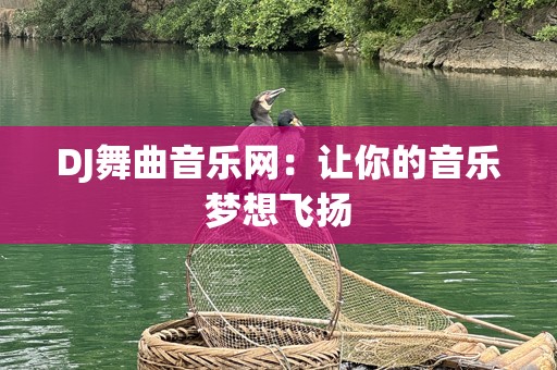 DJ舞曲音乐网：让你的音乐梦想飞扬