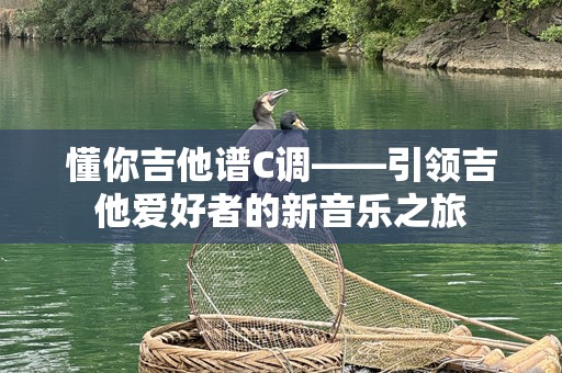 懂你吉他谱C调——引领吉他爱好者的新音乐之旅