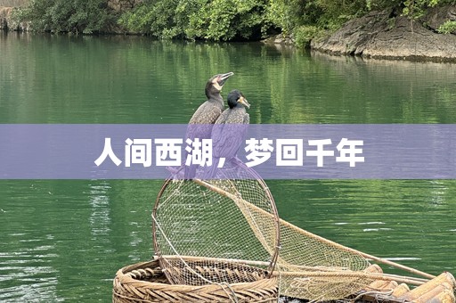 人间西湖，梦回千年