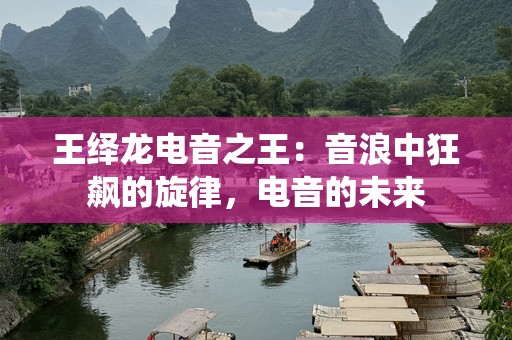 王绎龙电音之王：音浪中狂飙的旋律，电音的未来