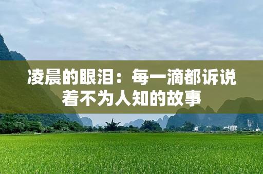 凌晨的眼泪：每一滴都诉说着不为人知的故事
