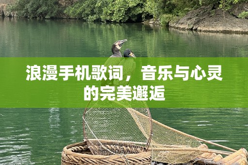 浪漫手机歌词，音乐与心灵的完美邂逅