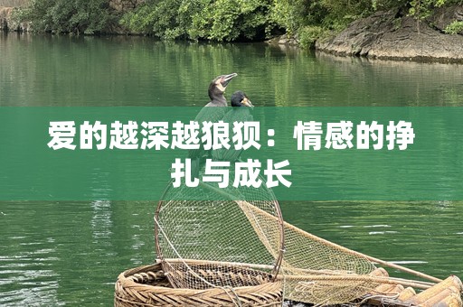 爱的越深越狼狈：情感的挣扎与成长