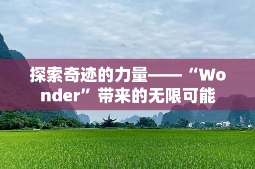 探索奇迹的力量——“Wonder”带来的无限可能