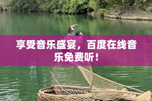 享受音乐盛宴，百度在线音乐免费听！
