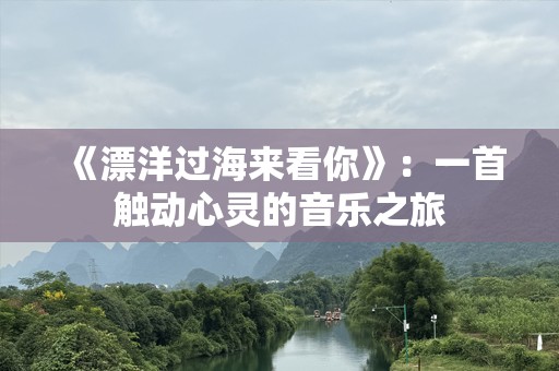 《漂洋过海来看你》：一首触动心灵的音乐之旅