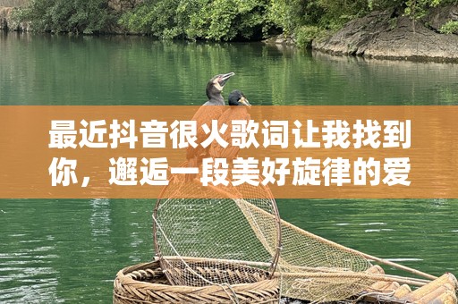 最近抖音很火歌词让我找到你，邂逅一段美好旋律的爱情