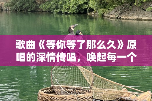 歌曲《等你等了那么久》原唱的深情传唱，唤起每一个等待的心