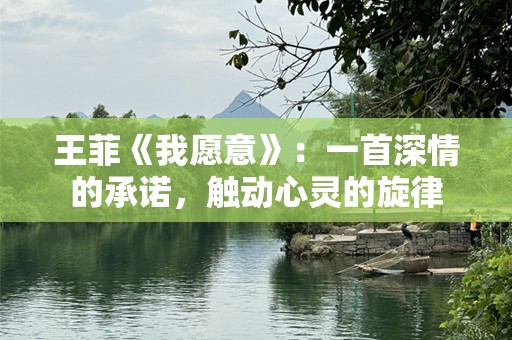 王菲《我愿意》：一首深情的承诺，触动心灵的旋律