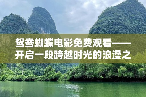 鸳鸯蝴蝶电影免费观看——开启一段跨越时光的浪漫之旅