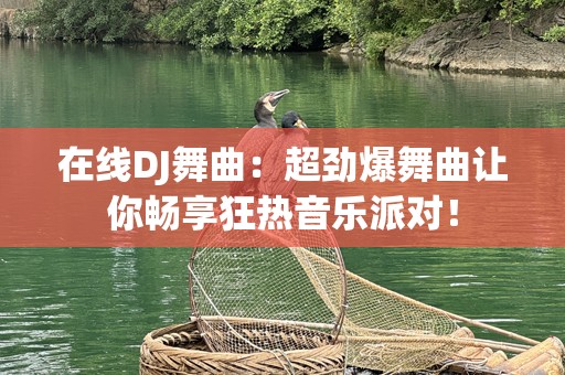 在线DJ舞曲：超劲爆舞曲让你畅享狂热音乐派对！
