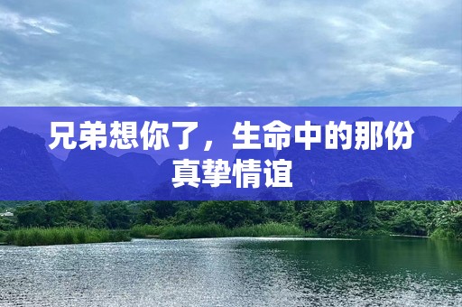 兄弟想你了，生命中的那份真挚情谊