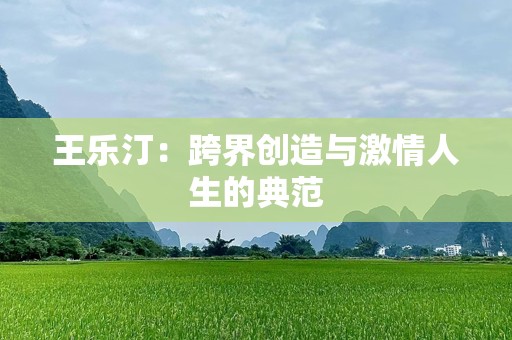 王乐汀：跨界创造与***人生的典范