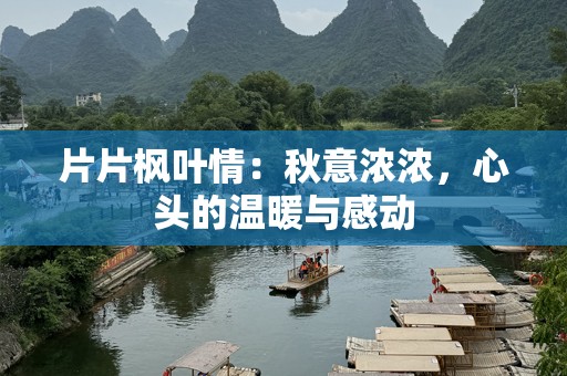 片片枫叶情：秋意浓浓，心头的温暖与感动