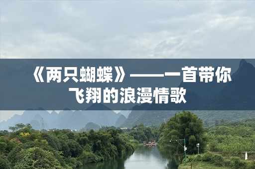《两只蝴蝶》——一首带你飞翔的浪漫情歌