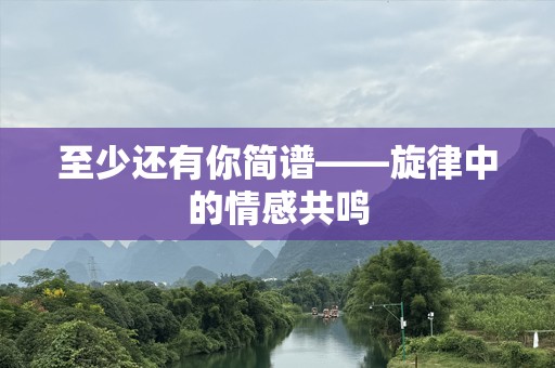 至少还有你简谱——旋律中的情感共鸣