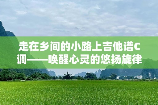 走在乡间的小路上吉他谱C调——唤醒心灵的悠扬旋律