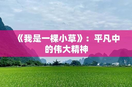 《我是一棵小草》：平凡中的伟大精神