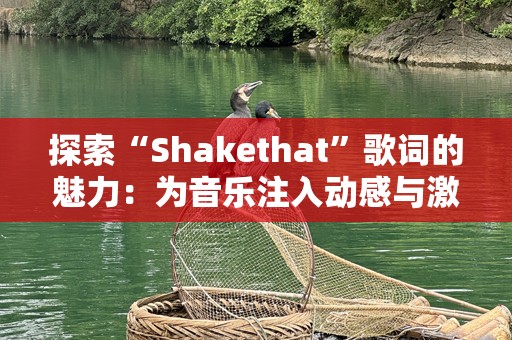 探索“Shakethat”歌词的魅力：为音乐注入动感与***