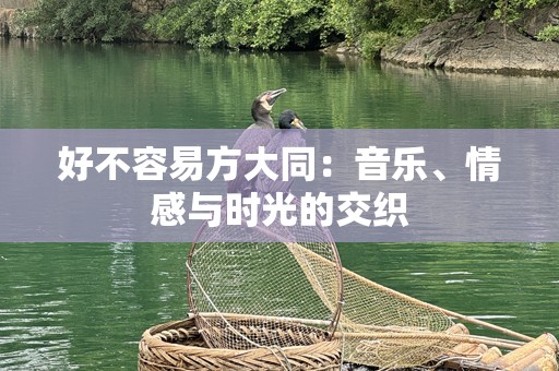 好不容易方大同：音乐、情感与时光的交织