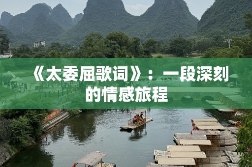 《太委屈歌词》：一段深刻的情感旅程