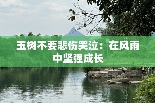 玉树不要悲伤哭泣：在风雨中坚强成长