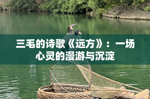 三毛的诗歌《远方》：一场心灵的漫游与沉淀