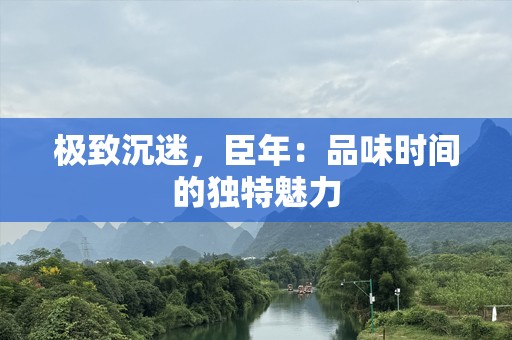 极致沉迷，臣年：品味时间的独特魅力