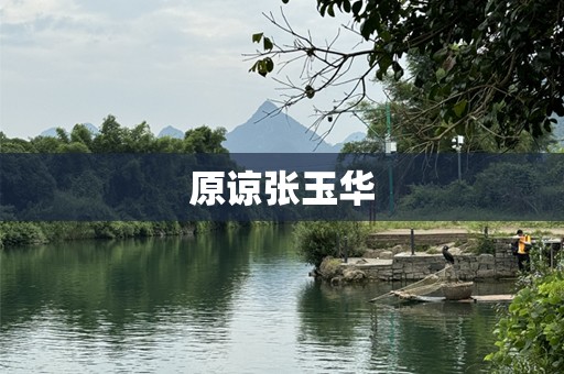 原谅张玉华