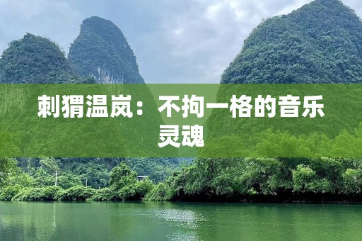 刺猬温岚：不拘一格的音乐灵魂