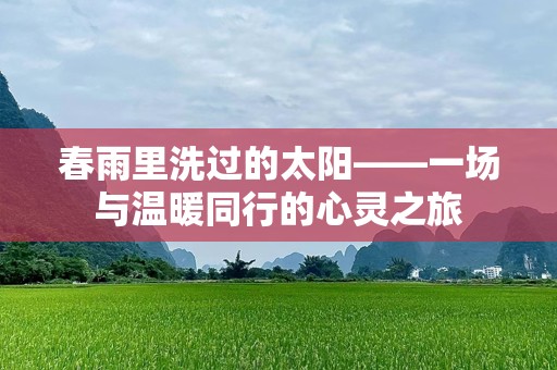 春雨里洗过的太阳——一场与温暖同行的心灵之旅