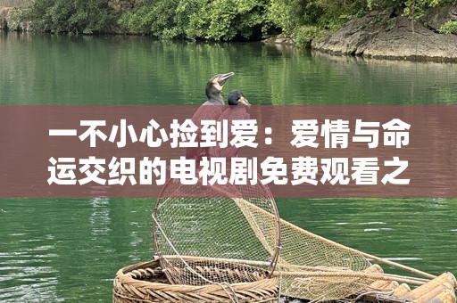 一不小心捡到爱：爱情与命运交织的电视剧免费观看之旅
