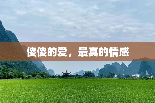 傻傻的爱，最真的情感