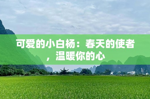 可爱的小白杨：春天的使者，温暖你的心