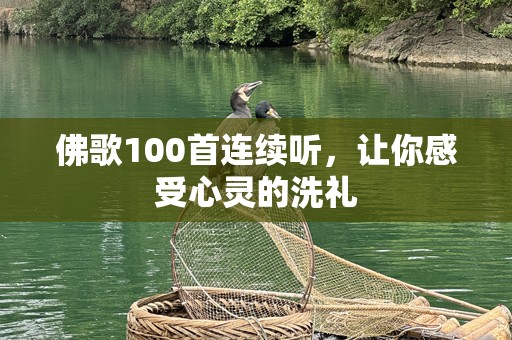 佛歌100首连续听，让你感受心灵的洗礼