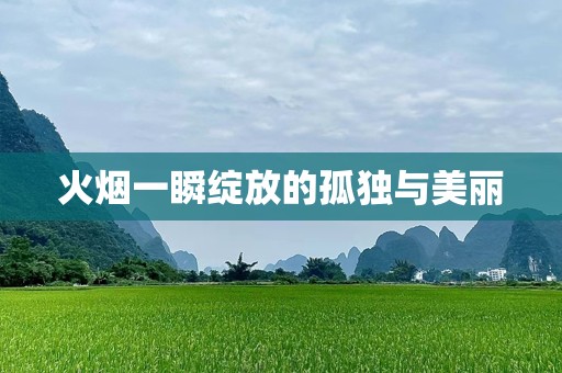 火烟一瞬绽放的孤独与美丽