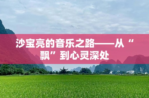 沙宝亮的音乐之路——从“飘”到心灵深处