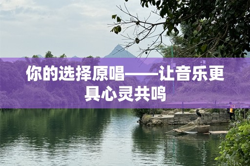 你的选择原唱——让音乐更具心灵共鸣