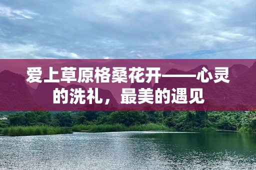 爱上草原格桑花开——心灵的洗礼，最美的遇见