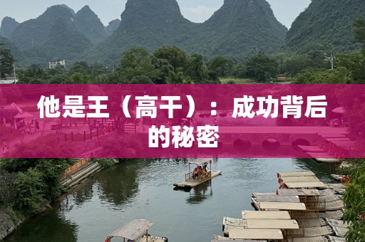 他是王（高干）：成功背后的秘密