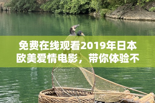 免费在线观看2019年日本欧美爱情电影，带你体验不一样的浪漫