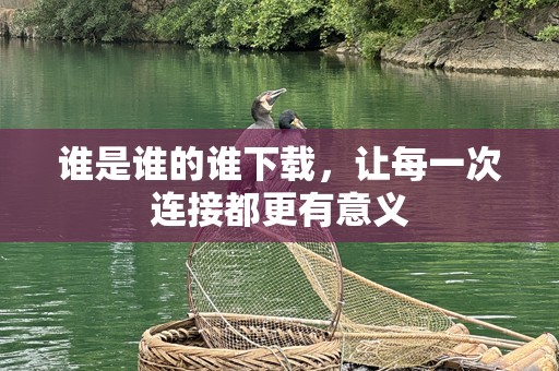 谁是谁的谁下载，让每一次连接都更有意义