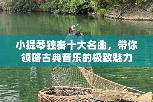 小提琴独奏十大名曲，带你领略古典音乐的极致魅力