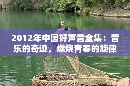 2012年中国好声音全集：音乐的奇迹，燃烧青春的旋律