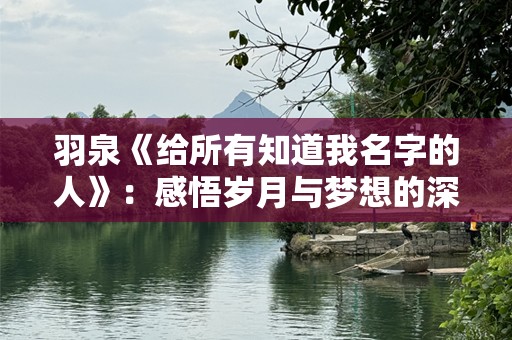 羽泉《给所有知道我名字的人》：感悟岁月与梦想的深刻旅程