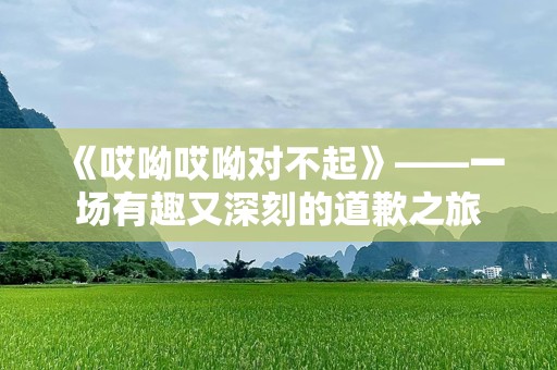 《哎呦哎呦对不起》——一场有趣又深刻的道歉之旅