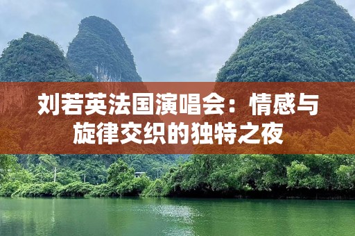 刘若英法国演唱会：情感与旋律交织的独特之夜