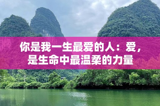 你是我一生最爱的人：爱，是生命中最温柔的力量