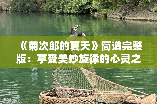 《菊次郎的夏天》简谱完整版：享受美妙旋律的心灵之旅